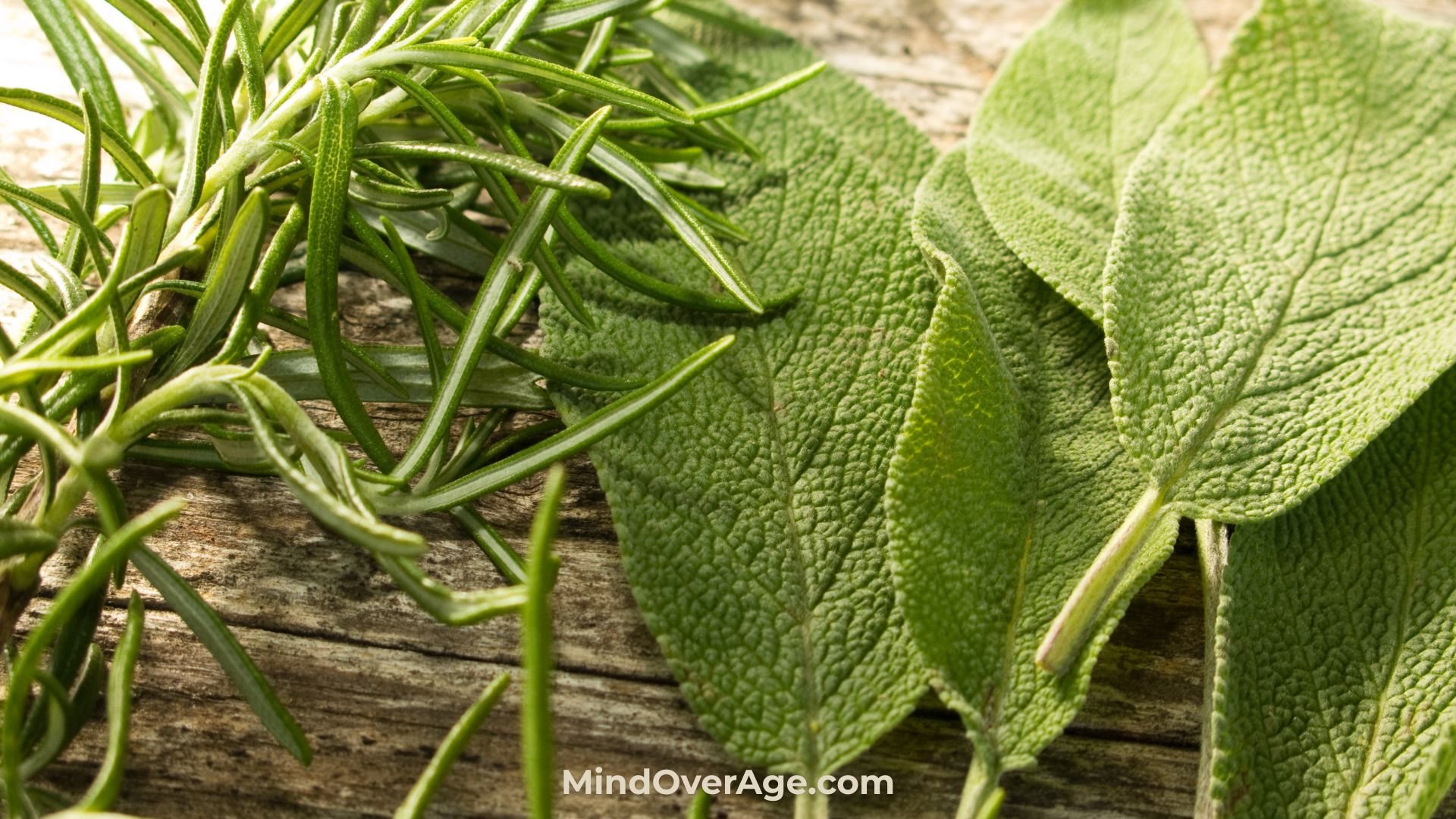Rosemary vs. Sage: The #1 Memory Winner for Menopause