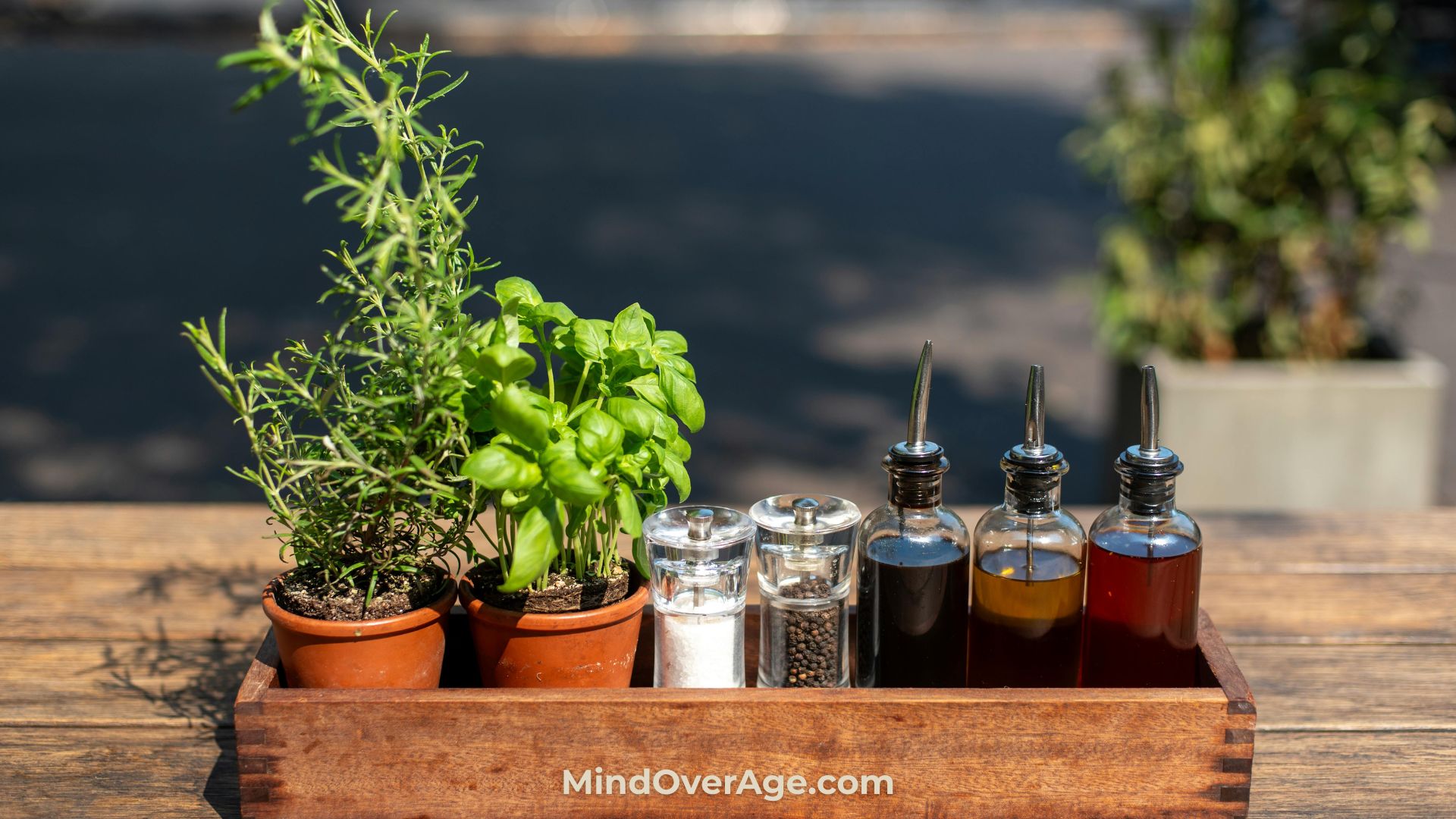 Rosemary vs. Holy Basil Which One is the True Winner for Menopause Brain Fog