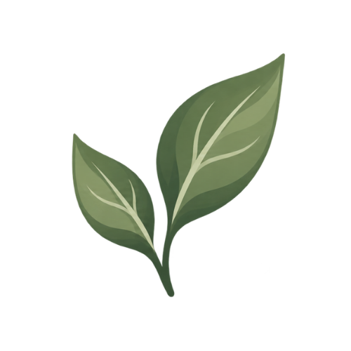 Leaf icon