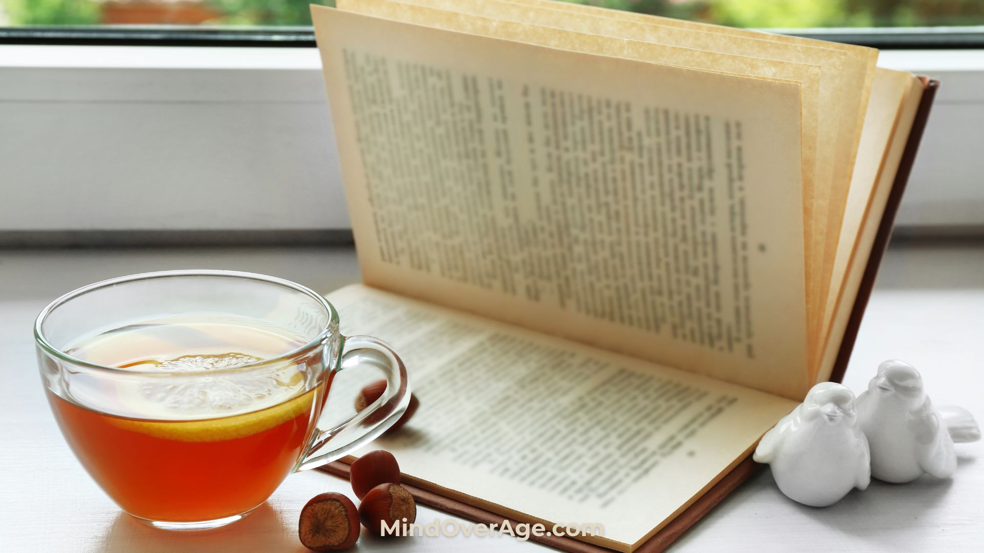 Why You Forget What You Read
